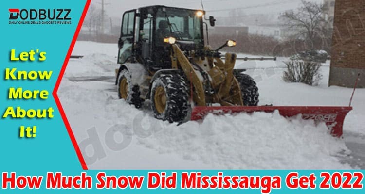 Latest News How Much Snow Did Mississauga Get