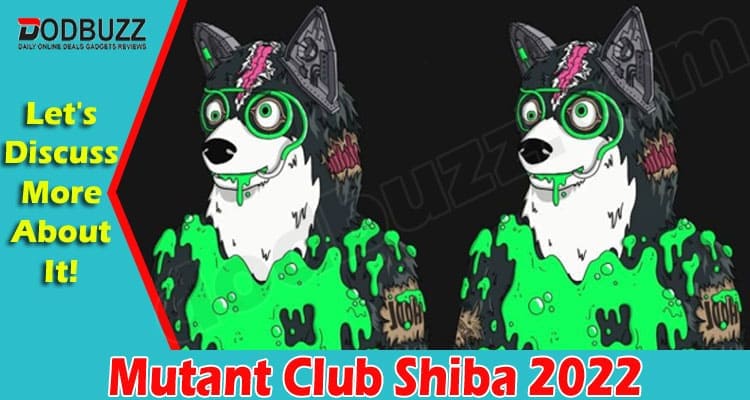 Latest News Mutant Club Shiba