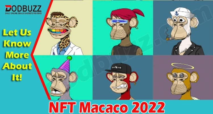 Latest News NFT Macaco