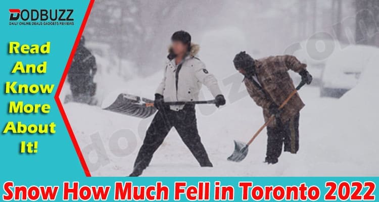 Latest News Snow How Much Fell in Toronto