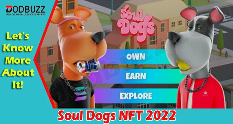 Latest News Soul Dogs NFT