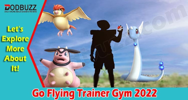 Latest News Go Flying Trainer Gym