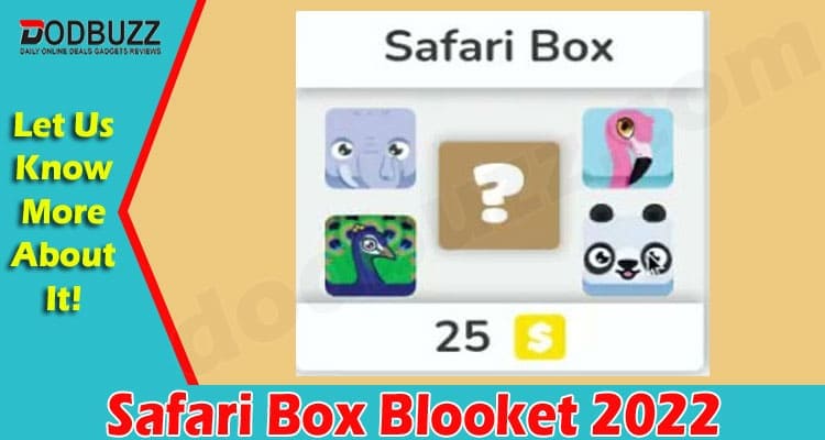Latest News Safari Box Blooket