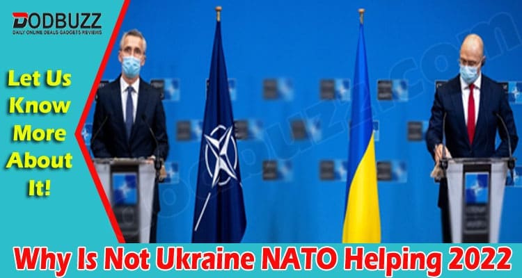Latest News Why Is Not Ukraine NATO Helping
