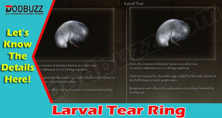 Gaming Tips Larval Tear Ring