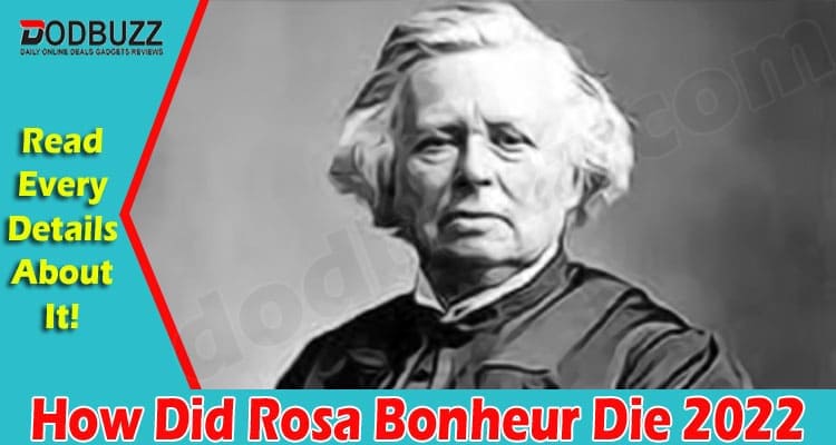 Latest news How Did Rosa Bonheur Die