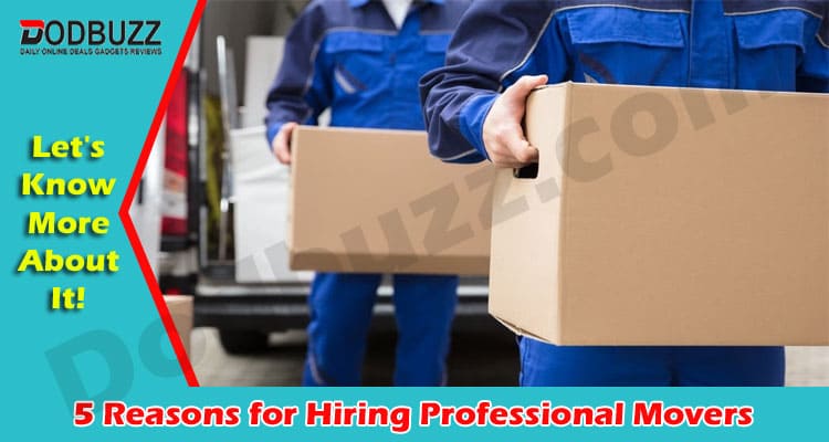 The Best Top 5 Reasons for Hiring Professional Movers