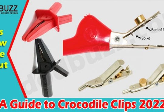 Complete Guide to Crocodile Clips