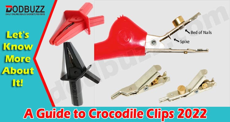 Complete Guide to Crocodile Clips