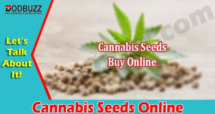 Complete Information Cannabis Seeds Online