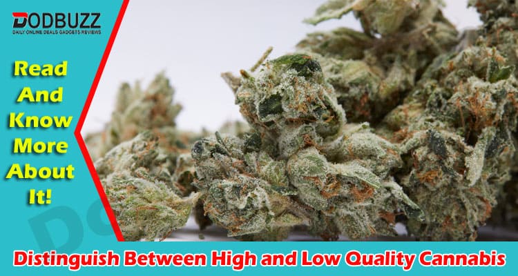 Complete Information Distinguish Between High and Low Quality Cannabis