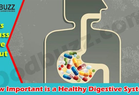 Complete Information Healthy Digestive System