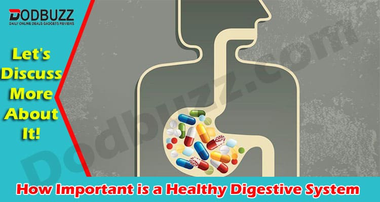 Complete Information Healthy Digestive System