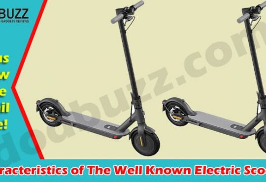 Electric Scooters Online Product Reviews