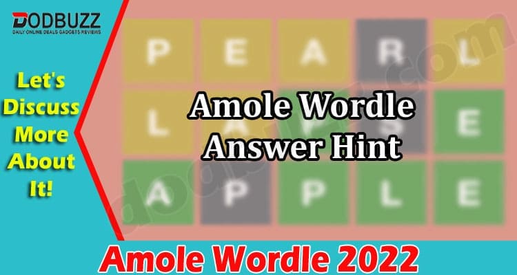 Gaming Tips Amole Wordle