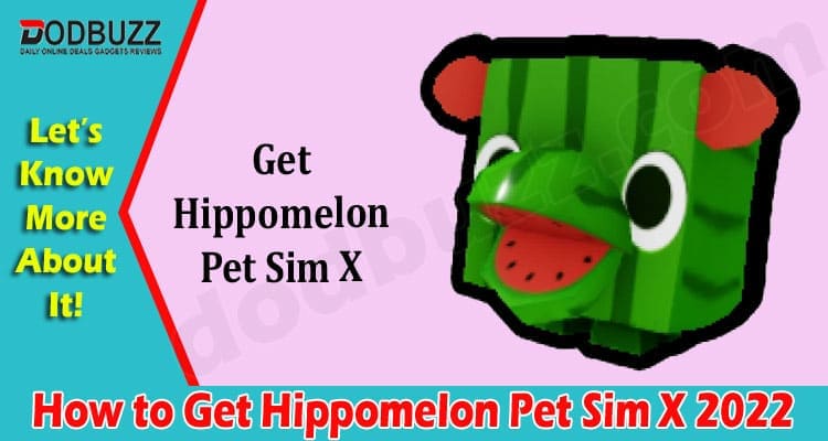 Latest News How to Get Hippomelon Pet Sim X
