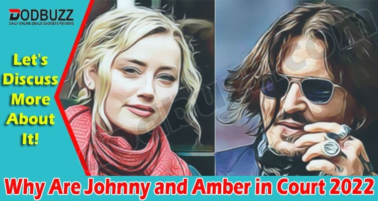 Latest News Why Are Johnny and Amber in Court