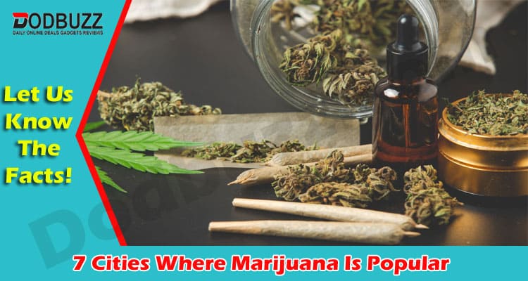 The Best Top 7 Cities Where Marijuana Is Popular
