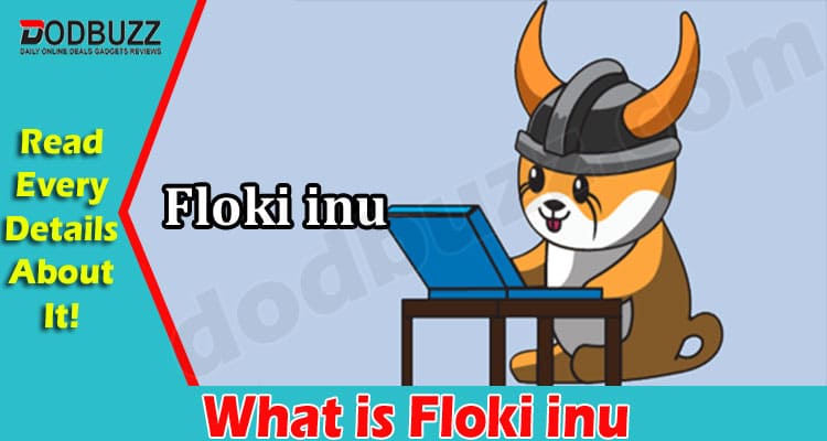 About General Information What is Floki inu