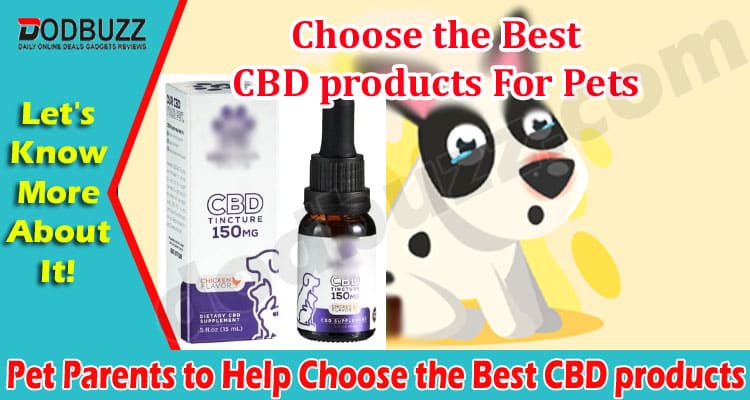 Complete A Guide for Pet Parents to Help Choose the Best CBD products