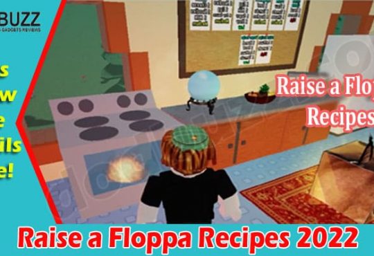 Gaming Tips Raise A Floppa Recipes