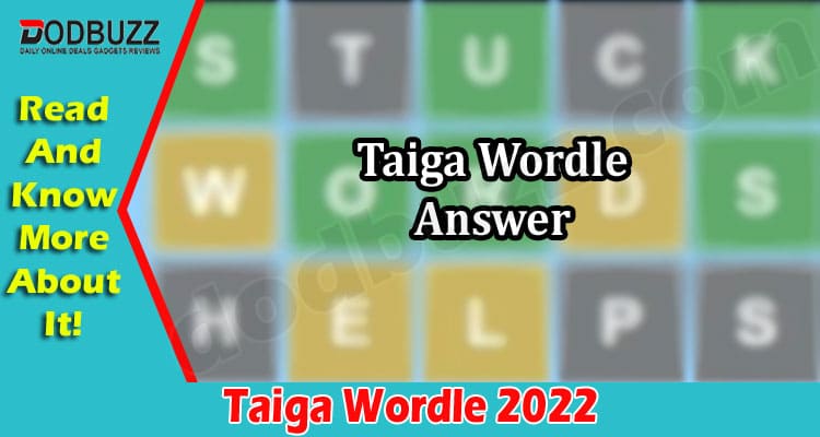 Gaming Tips Taiga Wordle