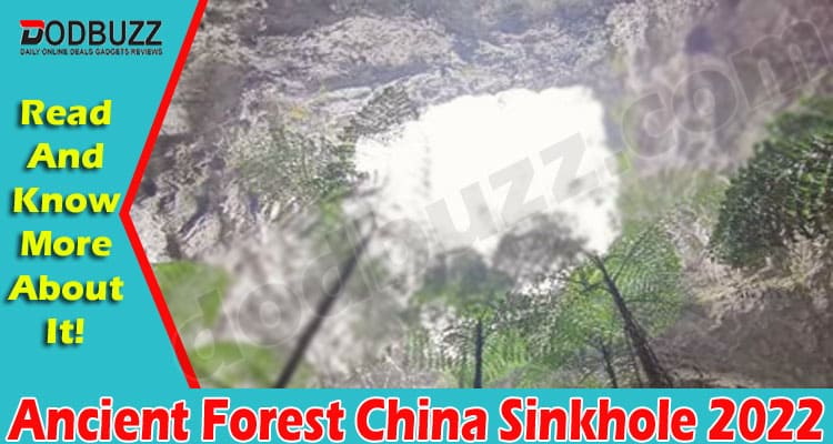 Latest News Ancient Forest China Sinkhole