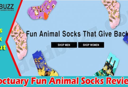 Soctuary Fun Animal Socks Online Review