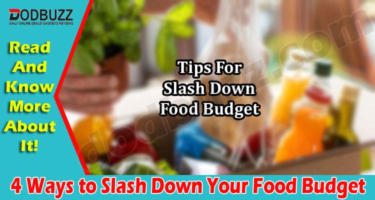 The Best Top 4 Ways to Slash Down Your Food Budget