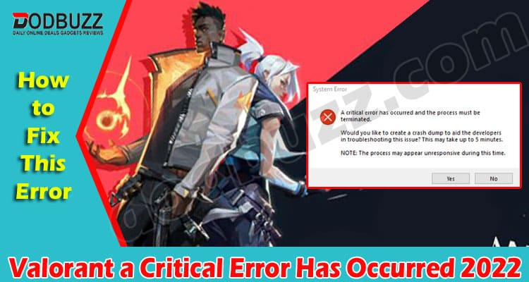 Gaming Tips Valorant a Critical Error Has Occurred