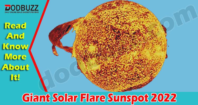 Latest News Giant Solar Flare Sunspot