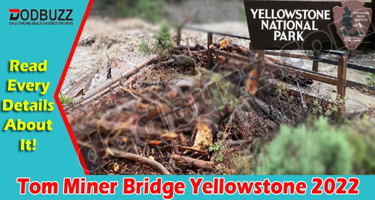 Latest News Tom Miner Bridge Yellowstone