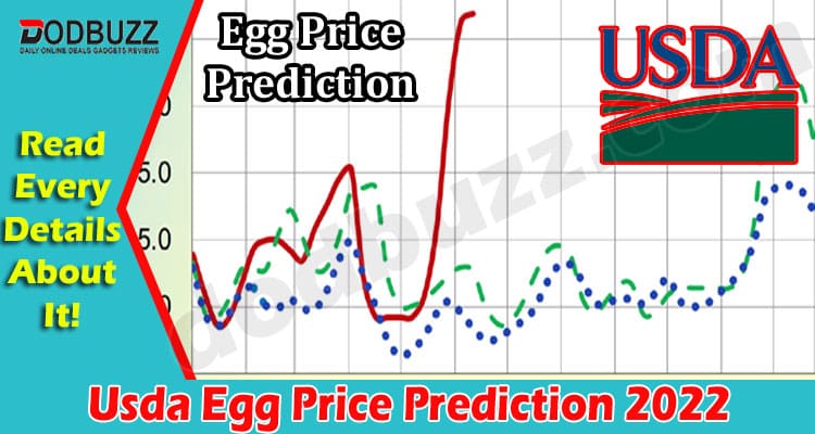 Latest News Usda Egg Price Prediction