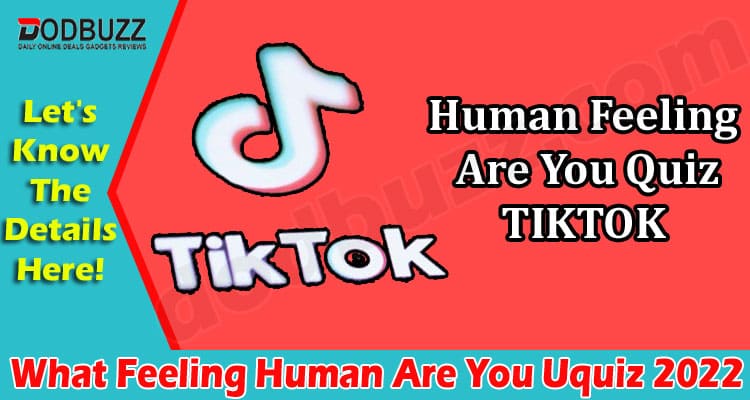 Latest News What Feeling Human Are You Uquiz