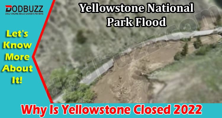 Latest News Why Is Yellowstone Closed