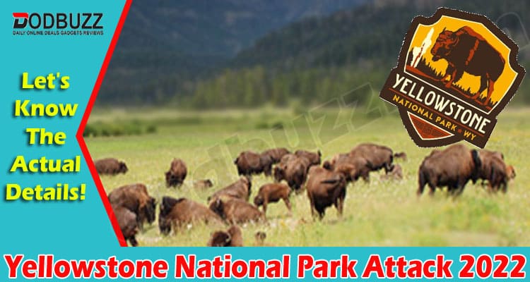 LATEST News Yellowstone National Park Attack