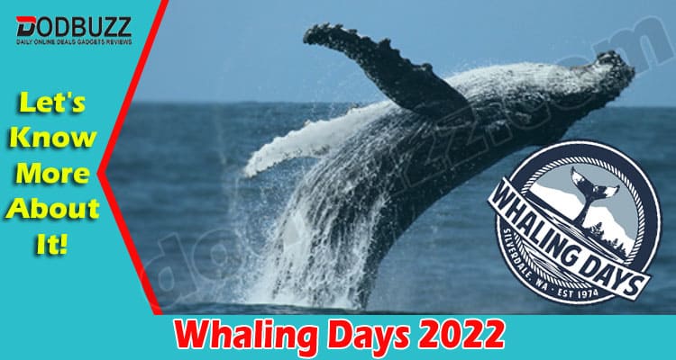 LATEST NEWS Whaling Days 2022