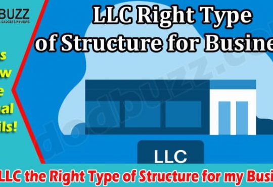 Is an LLC the Right Type of Structure for my Business