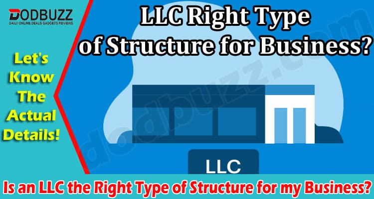 Is an LLC the Right Type of Structure for my Business