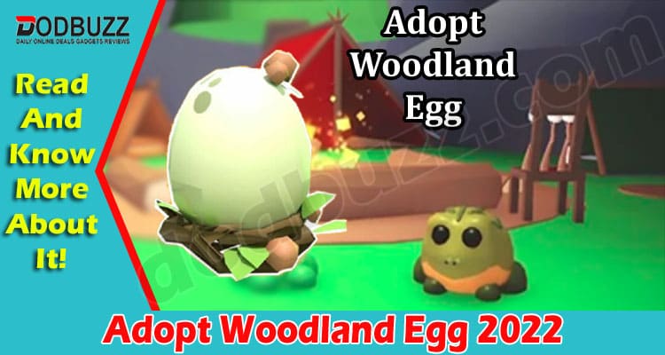 Latest News Adopt Woodland Egg