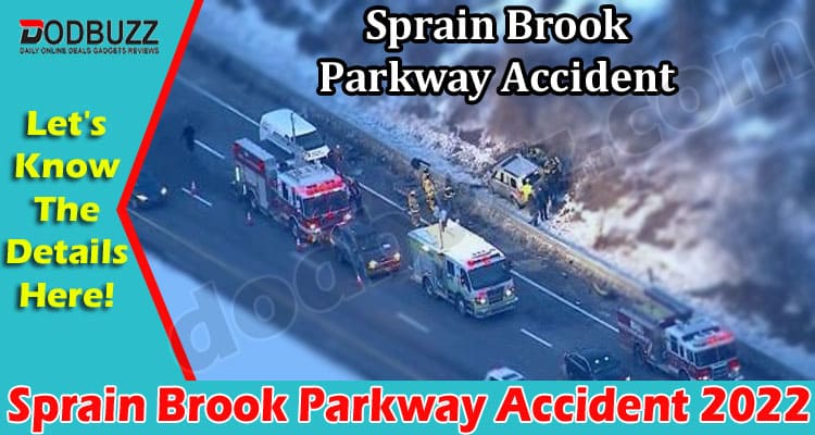 Latest News Sprain Brook Parkway Accident