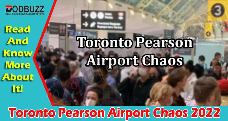 Latest News Toronto Pearson Airport Chaos
