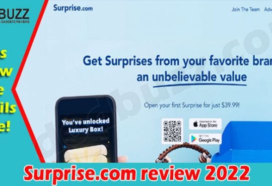 Surprise.com Online review