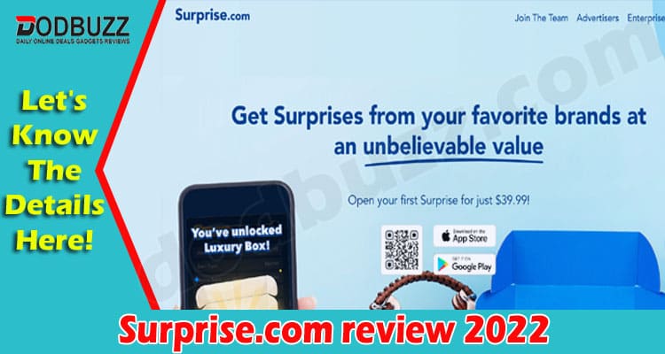 Surprise.com Online review