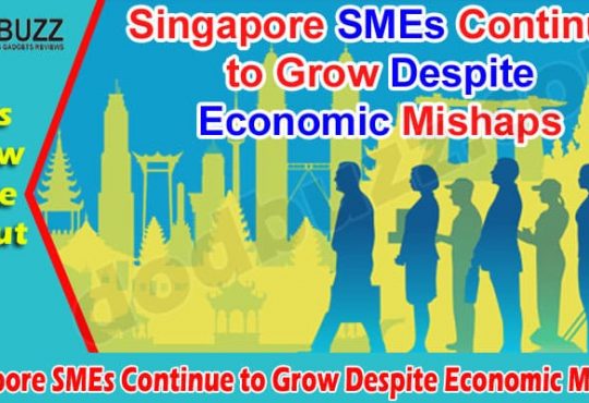 About General INformation Singapore SMEs Continue to Grow Despite Economic Mishaps