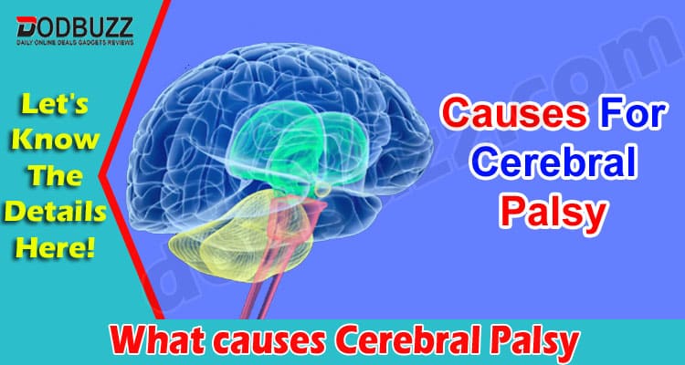 Complete Guide to Information What causes Cerebral Palsy