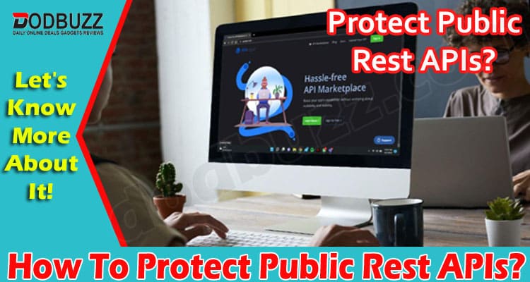 Complete Information How To Protect Public Rest APIs