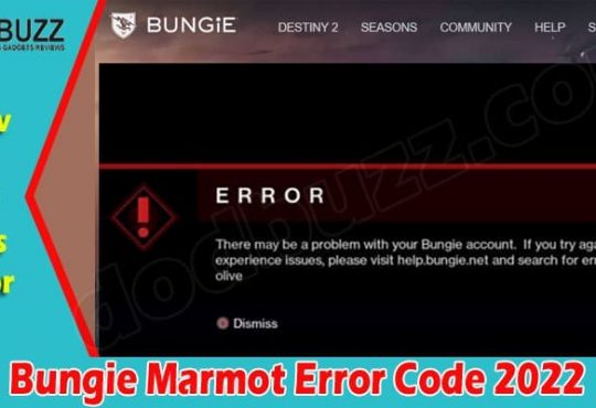 Latest News Bungie Marmot Error Code