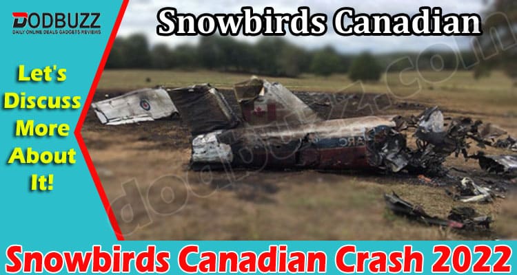Latest News Snowbirds Canadian Crash