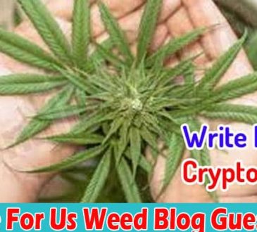 About General Information Write For Us Weed Blog Guest Post